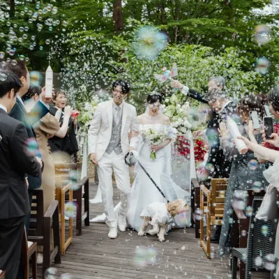 DOG DEPT GARDEN 軽井沢店の会場、事例