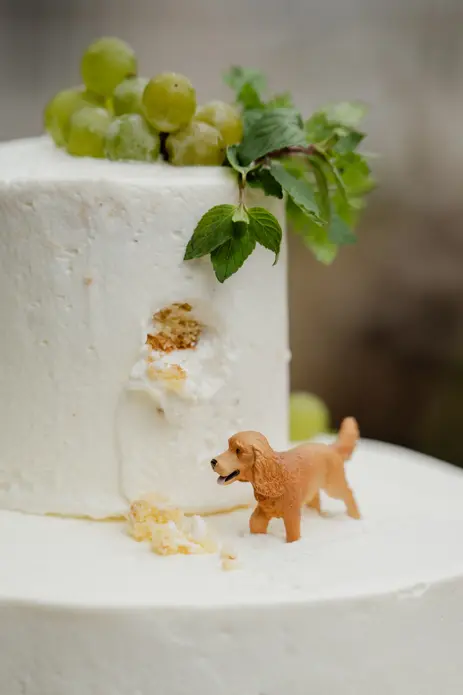 DOG DEPT GARDEN 軽井沢店の結婚式アイディア