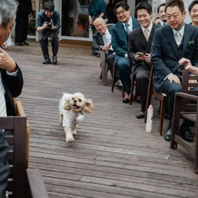 DOG DEPT GARDEN 軽井沢店の会場、事例