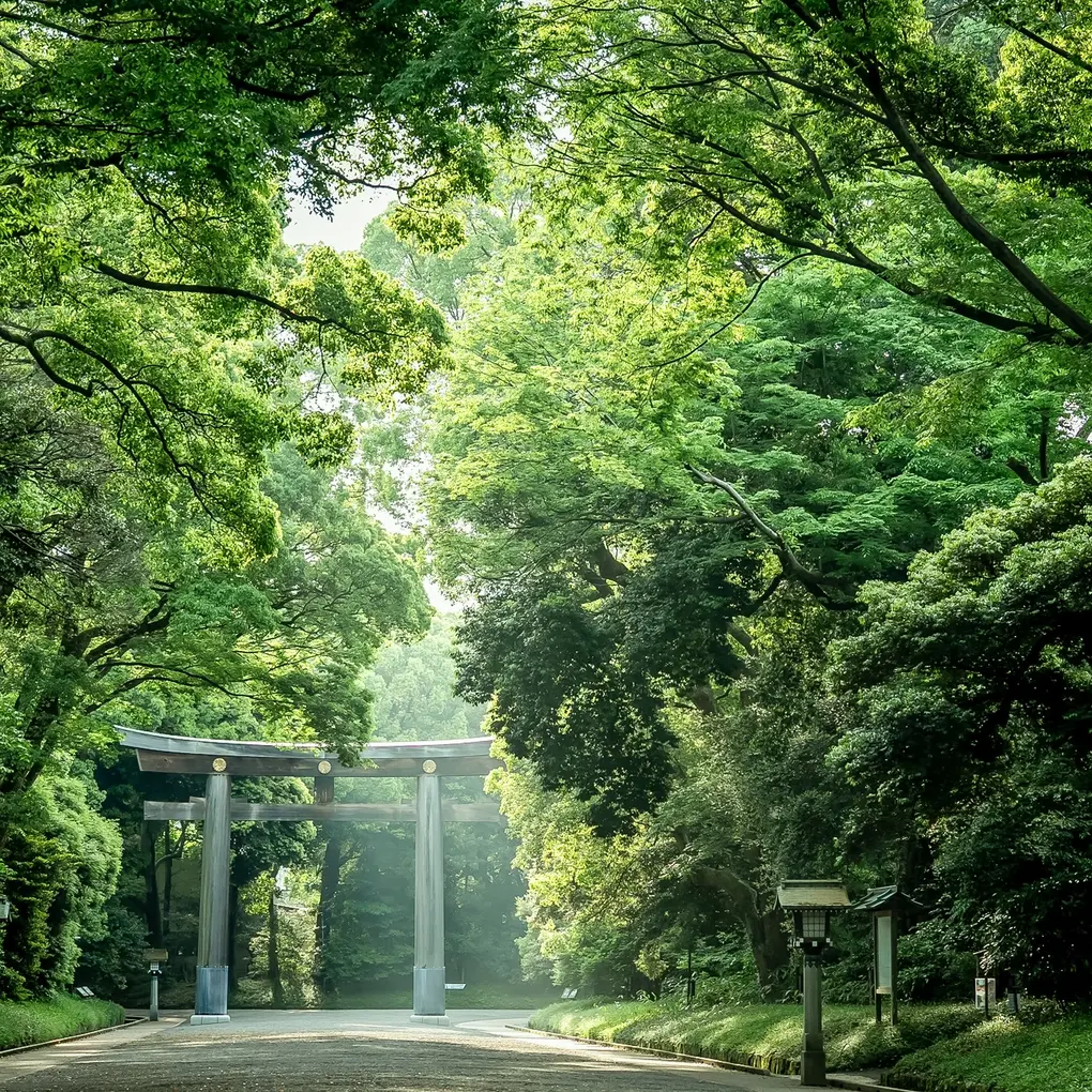 フォレストテラス明治神宮の結婚式のおすすめポイント