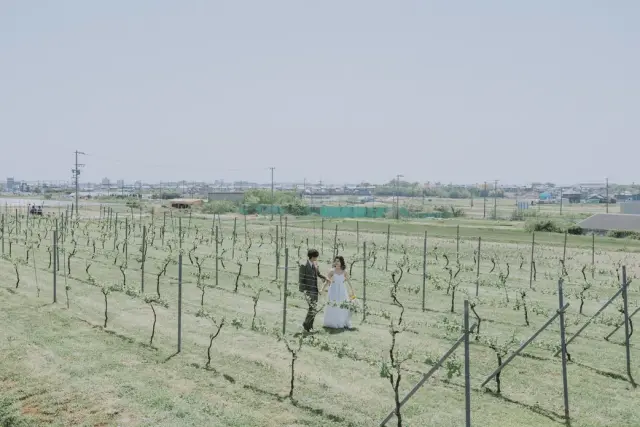 サンセットウォーカーヒルの写真 26（撮影: Bridal Plus）