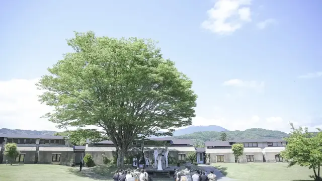 ワイナリーレストラン サンクゼールの写真 5（撮影: Producer’s Wedding　熊谷麻里子）