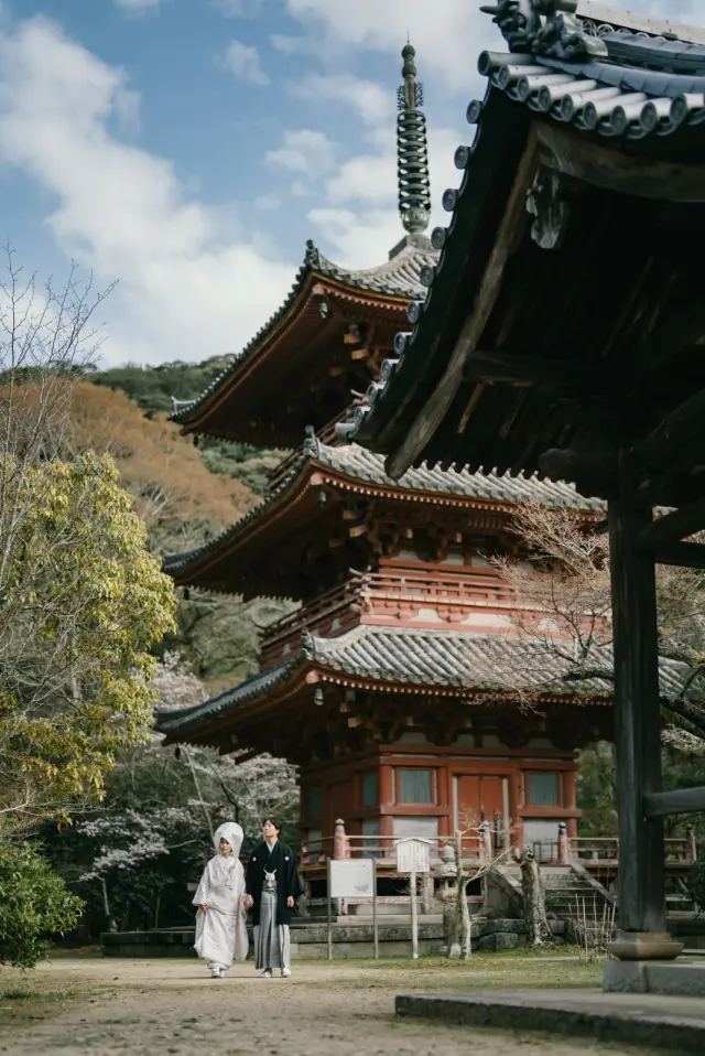 太山寺の写真 5（撮影: SCARLET KOBE）