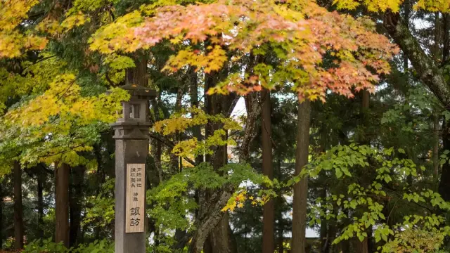 戸隠神社宿坊 御宿 諏訪の写真 8（撮影: Producer’s Wedding　熊谷麻里子）