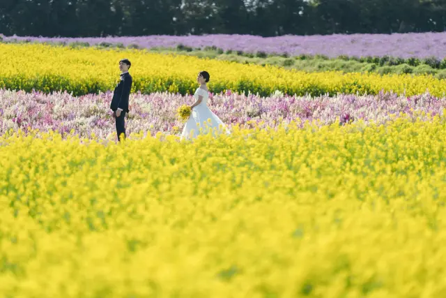 あわじ花さじきの写真 3（撮影: SCARLET KOBE）