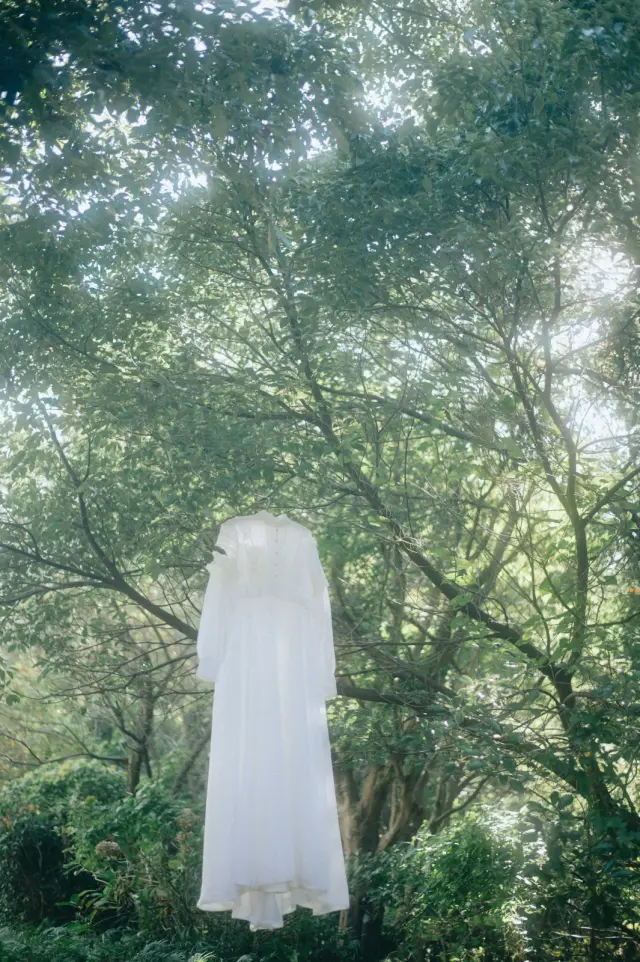 pensée de gorille | パンセデゴリレの写真 87（会場: INN THE PARK）