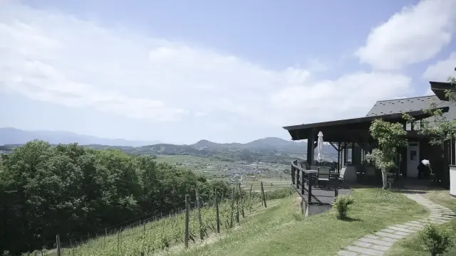 ワイナリーレストラン サンクゼールの写真 1（撮影: Producer’s Wedding　熊谷麻里子）