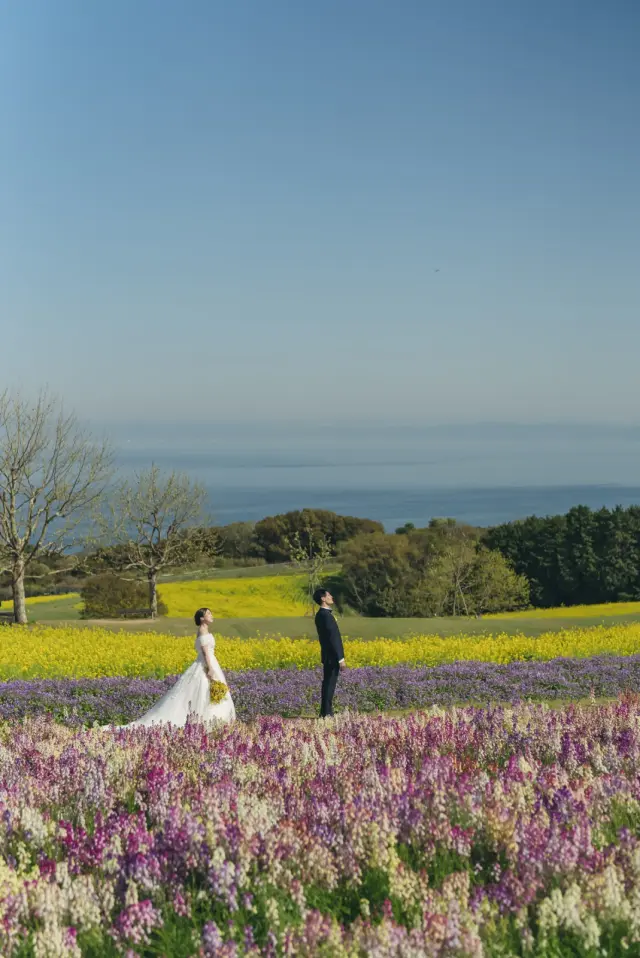 あわじ花さじきの写真 5（撮影: SCARLET KOBE）