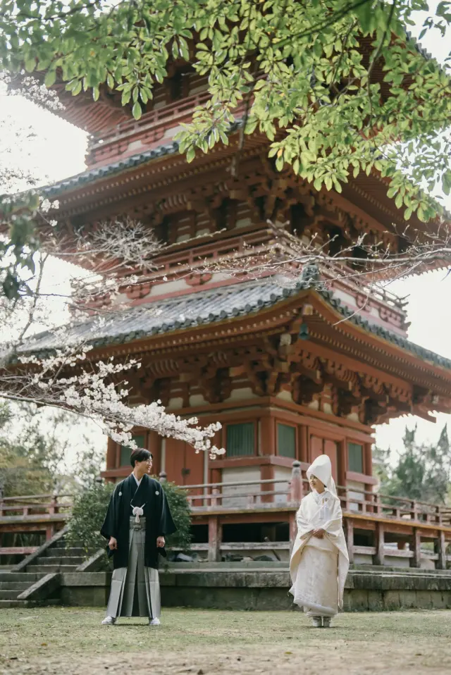 太山寺の写真 9（撮影: SCARLET KOBE）