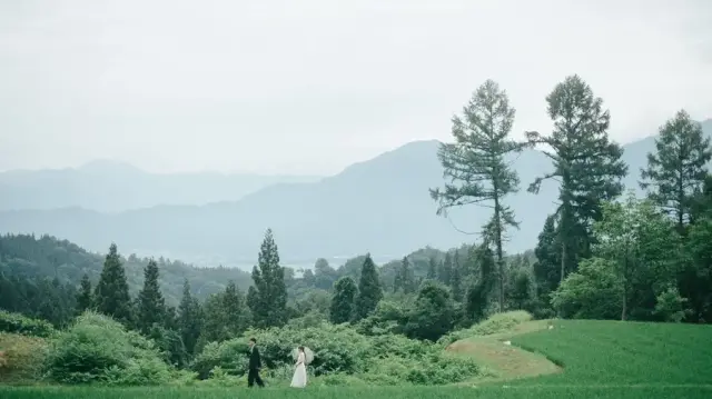 pensée de gorille | パンセデゴリレの写真 44（会場: 里山十帖）