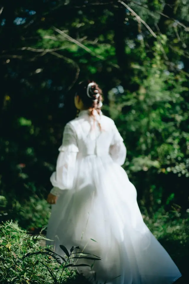 pensée de gorille | パンセデゴリレの写真 71（会場: INN THE PARK）