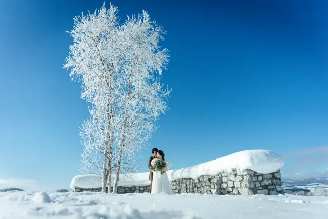 Coco style WEDDING（ココスタイルウエディング）の写真 72（会場: フェルム ラ・テール 美瑛）
