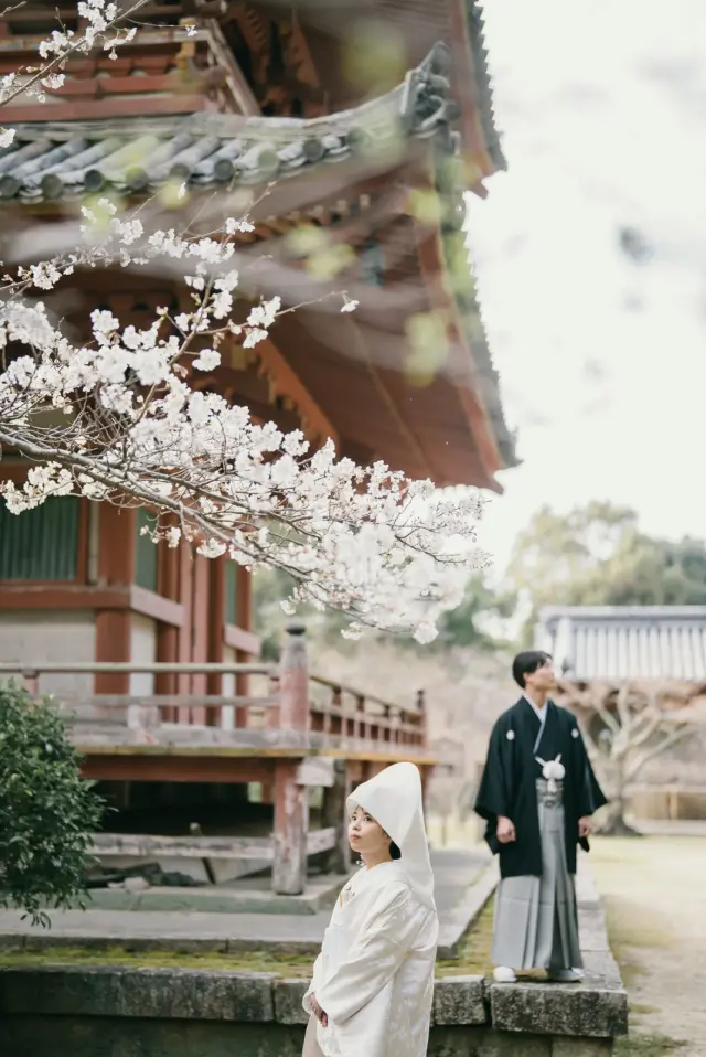 太山寺の写真 11（撮影: SCARLET KOBE）