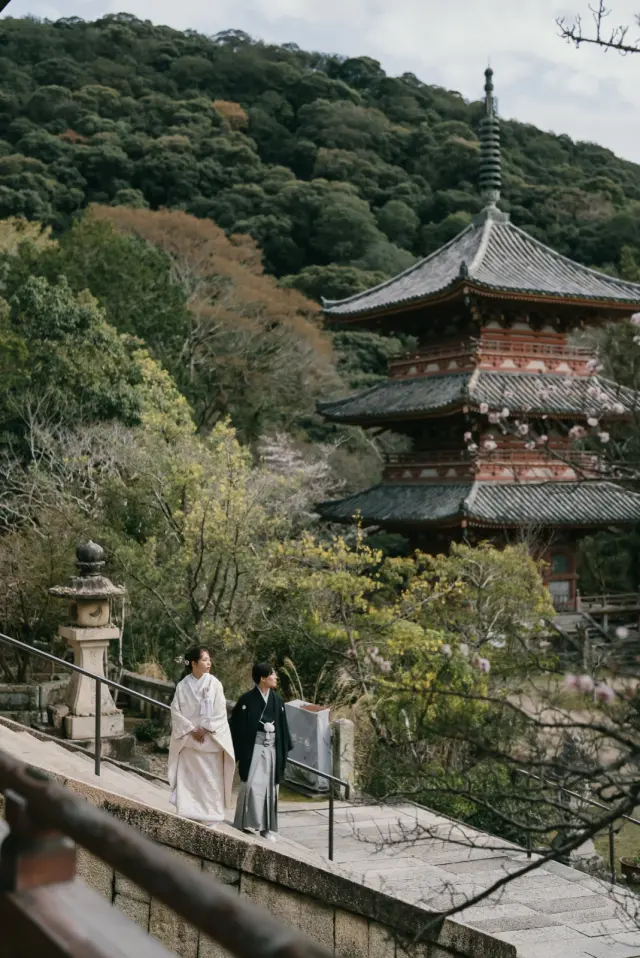 太山寺の写真 13（撮影: SCARLET KOBE）