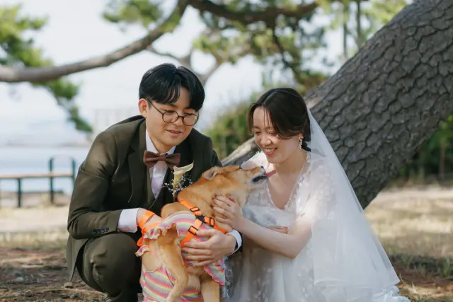 No where but HAYAMAの写真 34（撮影: Plage Wedding　加藤渚）