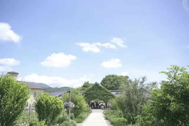 ワイナリーレストラン サンクゼールの写真 13（撮影: Producer’s Wedding　熊谷麻里子）