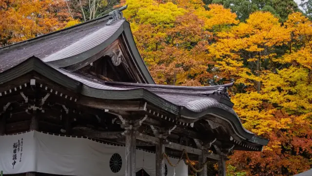 戸隠神社宿坊 御宿 諏訪の写真 3（撮影: Producer’s Wedding　熊谷麻里子）