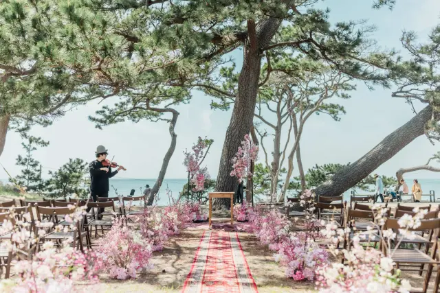 No where but HAYAMAの写真 13（撮影: Plage Wedding　加藤渚）